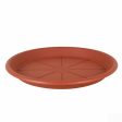 Flower Pot Dish Dem 12 Units Online