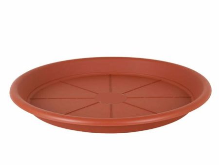 Flower Pot Dish Dem 12 Units Online