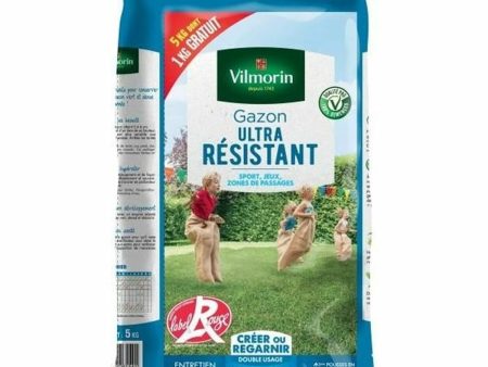 Seeds Vilmorin Grass Robust and durable 6 Kg Supply